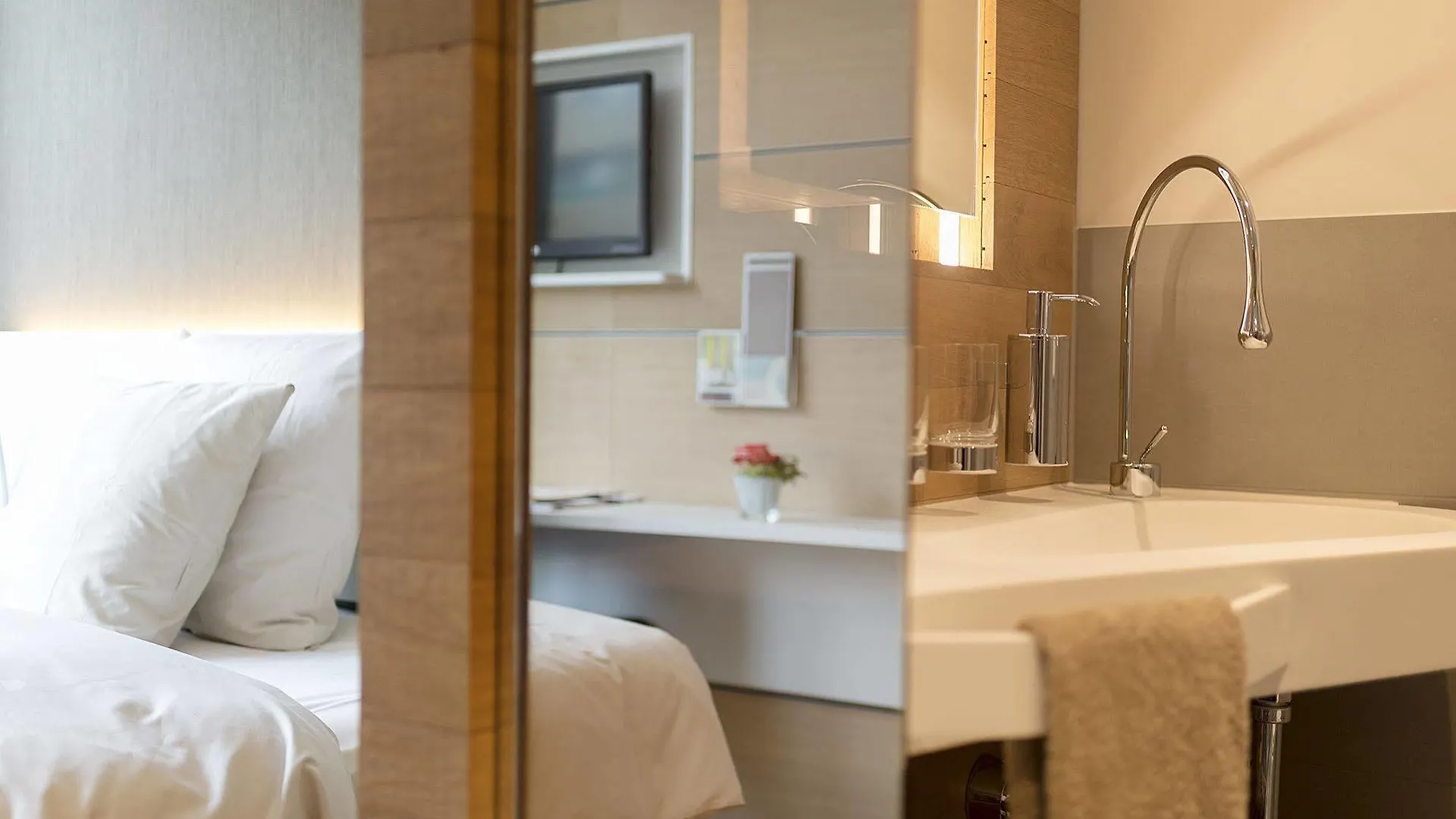 בזל Steinenschanze Charming City & Garden Hotel 3*,