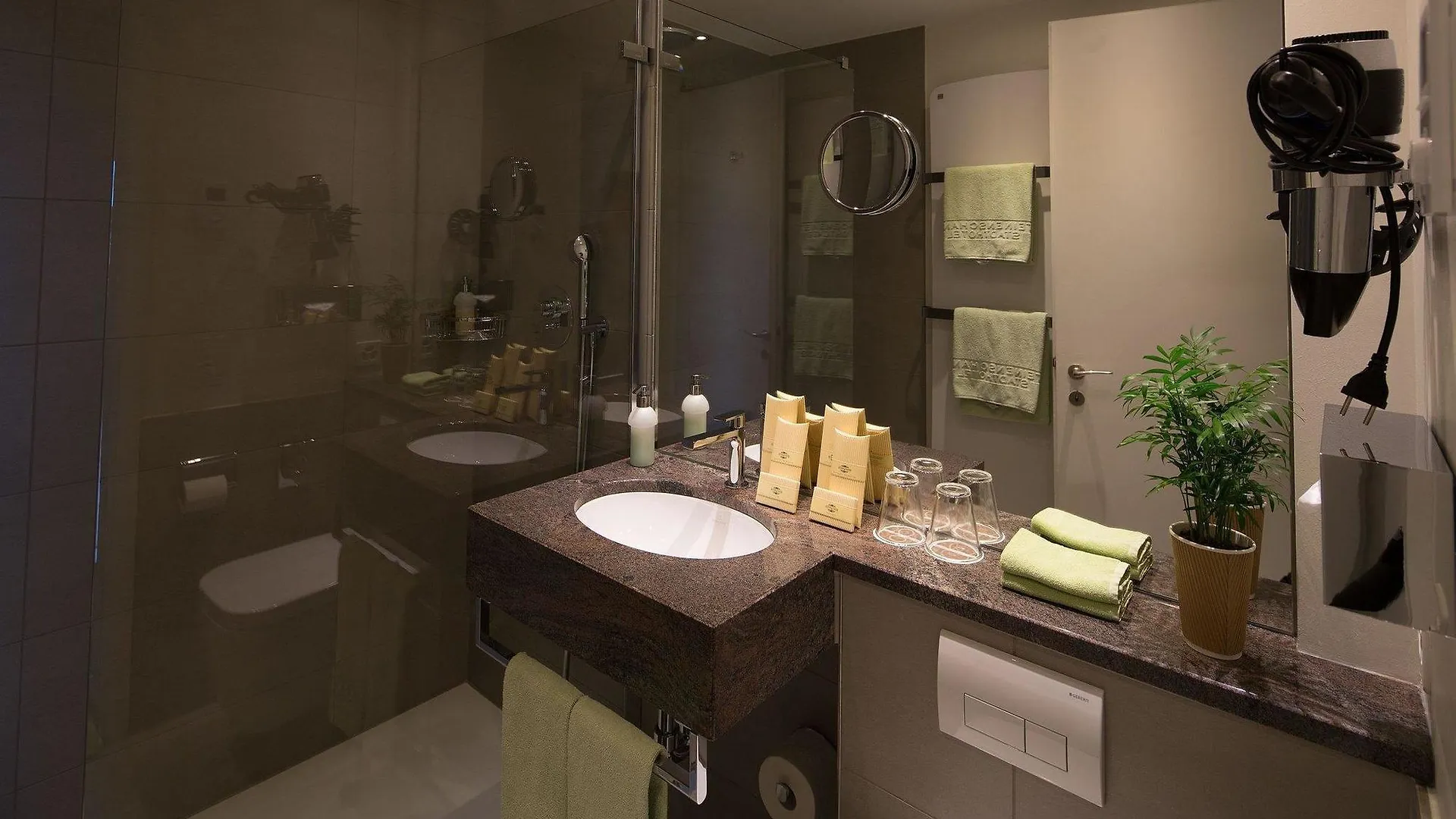Steinenschanze Charming City & Garden Hotel Basilea